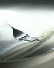 foto (231)  IMAGEN FOTOGRAFIA